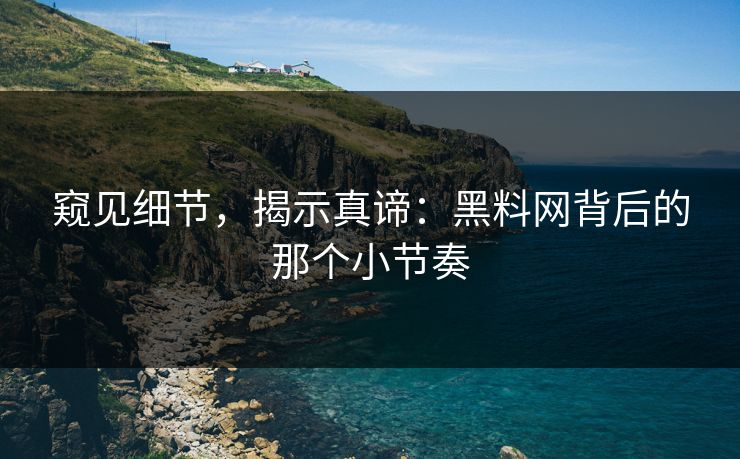 窥见细节，揭示真谛：黑料网背后的那个小节奏