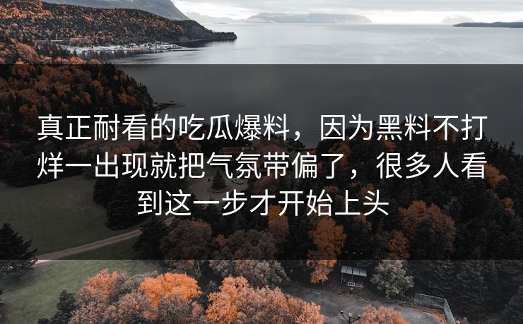 真正耐看的吃瓜爆料，因为黑料不打烊一出现就把气氛带偏了，很多人看到这一步才开始上头