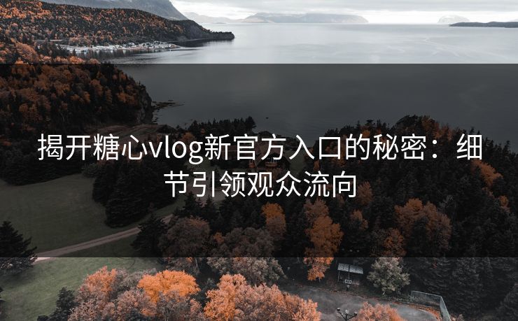 揭开糖心vlog新官方入口的秘密：细节引领观众流向