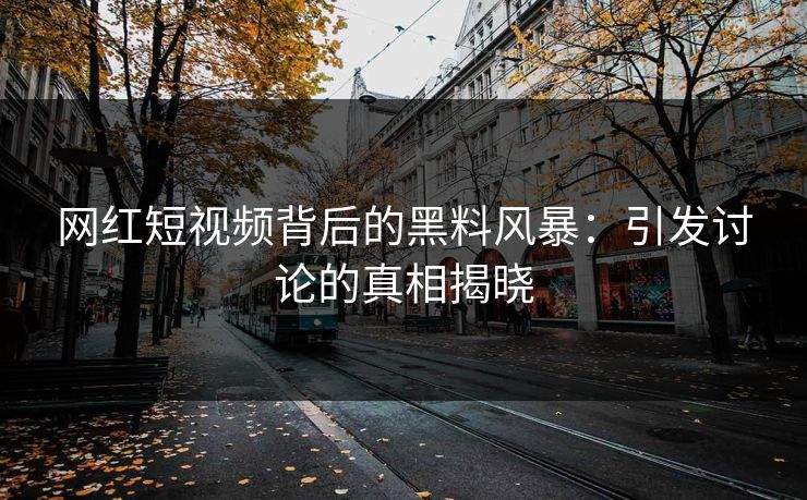 网红短视频背后的黑料风暴：引发讨论的真相揭晓