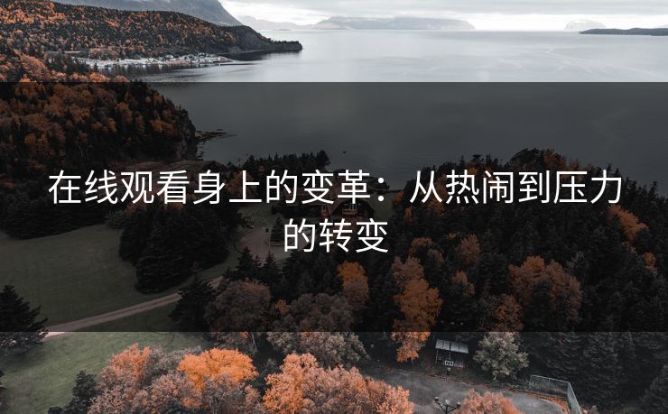 在线观看身上的变革:从热闹到压力的转变 第1张 在线观看身上的变革:从热闹到压力的转变 第1张