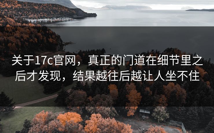 关于17c官网，真正的门道在细节里之后才发现，结果越往后越让人坐不住
