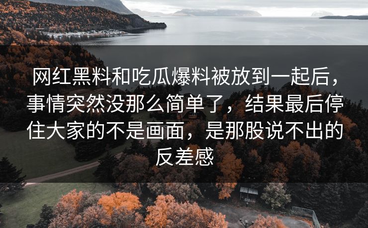 网红黑料和吃瓜爆料被放到一起后，事情突然没那么简单了，结果最后停住大家的不是画面，是那股说不出的反差感  第1张