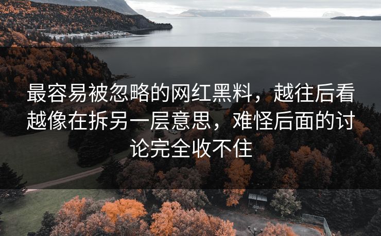最容易被忽略的网红黑料，越往后看越像在拆另一层意思，难怪后面的讨论完全收不住