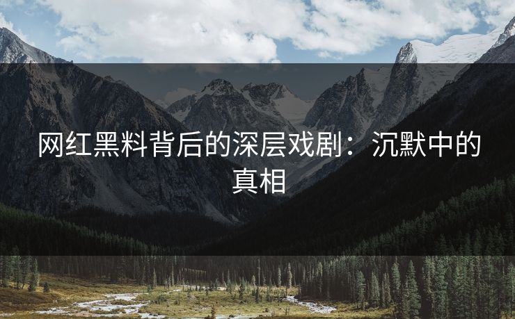 网红黑料背后的深层戏剧：沉默中的真相