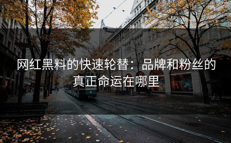 网红黑料的快速轮替：品牌和粉丝的真正命运在哪里