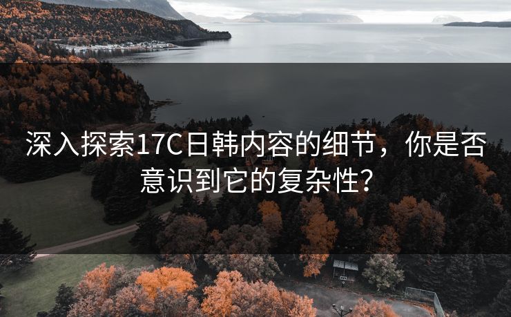 深入探索17C日韩内容的细节，你是否意识到它的复杂性？