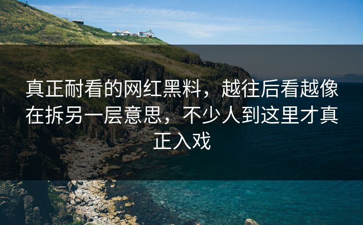 真正耐看的网红黑料，越往后看越像在拆另一层意思，不少人到这里才真正入戏