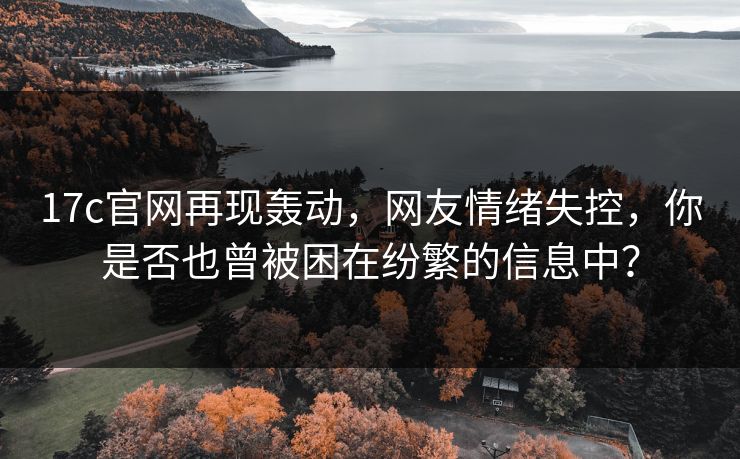 17c官网再现轰动，网友情绪失控，你是否也曾被困在纷繁的信息中？  第1张
