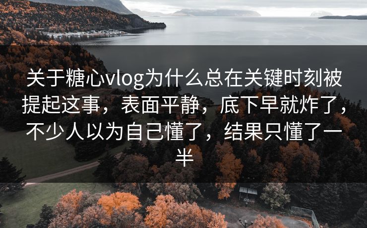 关于糖心vlog为什么总在关键时刻被提起这事，表面平静，底下早就炸了，不少人以为自己懂了，结果只懂了一半