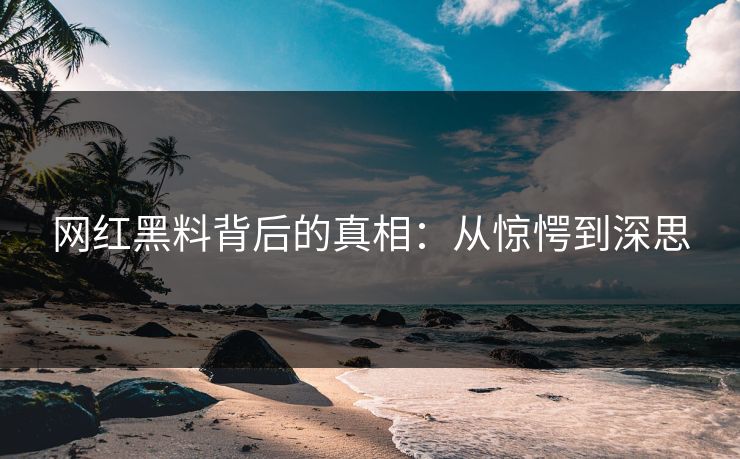 网红黑料背后的真相：从惊愕到深思
